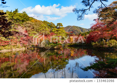 神戶市立植物園長谷池的秋葉 神戶市立植物園長谷池的秋葉 133461098