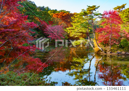 Autumn leaves at Hase Pond, Kobe City Arboretum 133461111