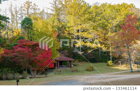 A rest area at Kobe City Arboretum in autumn with beautiful autumn leaves A rest area at Kobe City Arboretum in autumn with beautiful autumn leaves 133461114