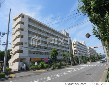 large housing complex large housing complex 133461295