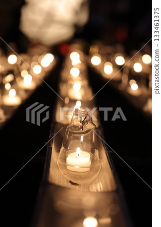 臼杵竹生節 133461375