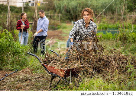 Woman takes out bunch of branches, puts garbage in wheelbarrow 133461952