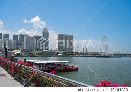 在晴朗的日子裡，新加坡濱海灣的飯店和新加坡摩天觀景輪盡收眼底。 133461953