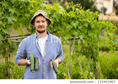 Portrait of happy man with harvest of cucumbers in her hands in field 133461967