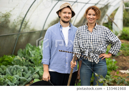 Farmer peasant woman and man works with garden plants in greenhouse 133461988