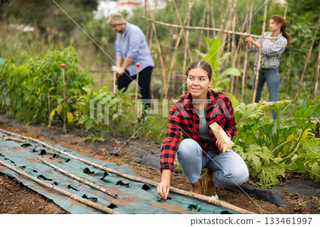 Positive girl buries berry and vegetable seeds in ground in garden bed covered with pest control material Positive girl buries berry and vegetable seeds in ground in garden bed covered with pest control material 133461997