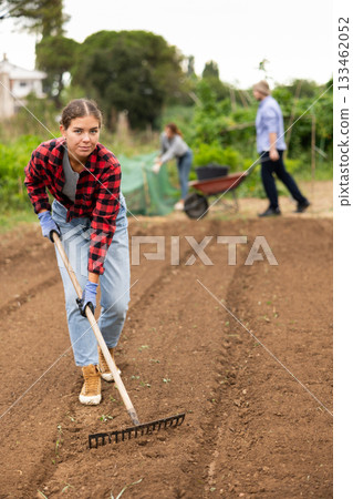 Peasant girl is working in garden with rake Peasant girl is working in garden with rake 133462052