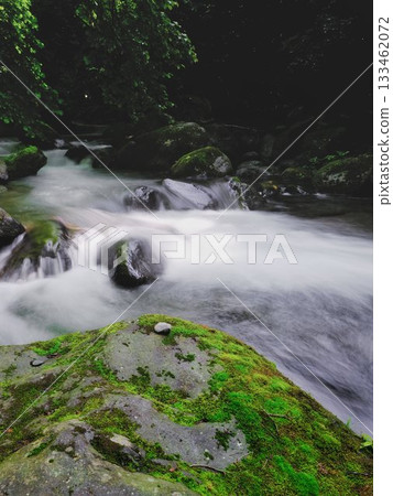 A clear stream flowing through the greenery A clear stream flowing through the greenery 133462072