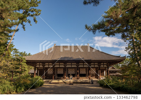 在藍天的Toshodaiji寺廟 在藍天的Toshodaiji寺廟 133462798