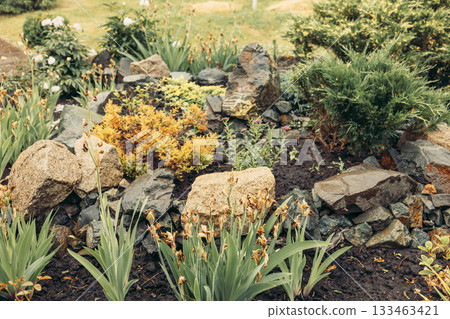 A decorative landscape featuring various plants and rocks. The scene includes green foliage, yellow flowers, and natural stones arranged artistically. A decorative landscape featuring various plants and rocks. The scene includes green foliage, yellow flowers, and natural stones arranged artistically. 133463421