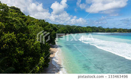 A lush tropical coast with turquoise waters, white sand, and vibrant greenery. Seychelles, Mahe. 133463496