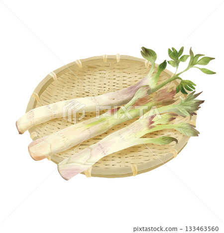 水彩風格早春野生蔬菜,竹籃中的烏多 水彩風格早春野生蔬菜,竹籃中的烏多 133463560
