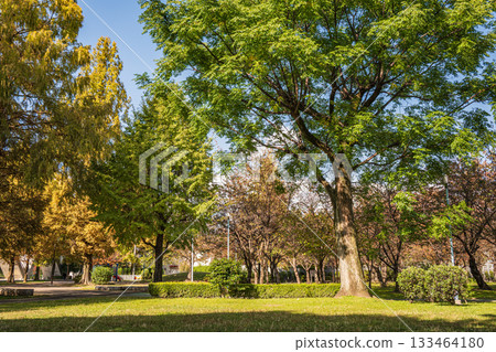 Autumn in Johoku Park, Osaka City 133464180