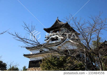 犬山城，天守閣 [愛知縣犬山市] 133464556