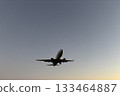 Airplane landing at sunset 133464887