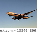 Passenger plane landing 133464896