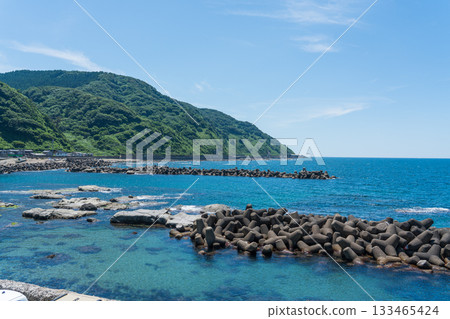 鶴岡市加茂水族館 133465424