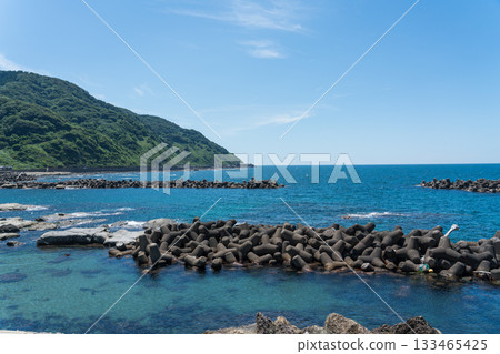 Kamo Aquarium of Tsuruoka City Kamo Aquarium of Tsuruoka City 133465425