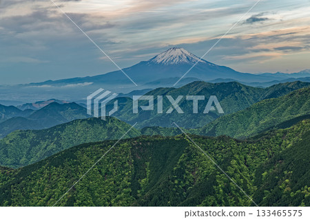 Mount Fuji and the fresh green mountains seen from Sannoto on the Tanzawa Omote Ridge in the early morning Mount Fuji and the fresh green mountains seen from Sannoto on the Tanzawa Omote Ridge in the early morning 133465575