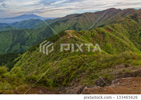 Mount Fuji and Mount Tonodake seen from Sannoto on the Tanzawa Omote Ridge in the early morning Mount Fuji and Mount Tonodake seen from Sannoto on the Tanzawa Omote Ridge in the early morning 133465626