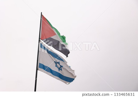 Israel and Palestine flag together in the wind 133465631