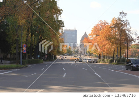 櫻田門十字路口和國會議事堂 133465716