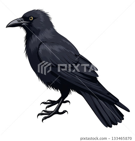 Modern, detailed illustration of watchful black crow. dark corvid bird stands alert against background 133465870