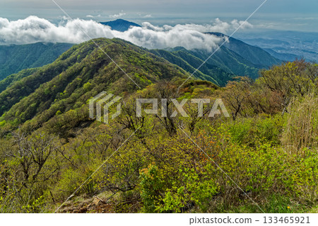 View of the fresh greenery of the main ridge of Mt. Daisen and clouds drifting across it from Mount Tonotake in Tanzawa View of the fresh greenery of the main ridge of Mt. Daisen and clouds drifting across it from Mount Tonotake in Tanzawa 133465921