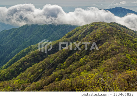 View of the fresh greenery of the main ridge of Mt. Daisen and clouds drifting across it from Mount Tonotake in Tanzawa View of the fresh greenery of the main ridge of Mt. Daisen and clouds drifting across it from Mount Tonotake in Tanzawa 133465922