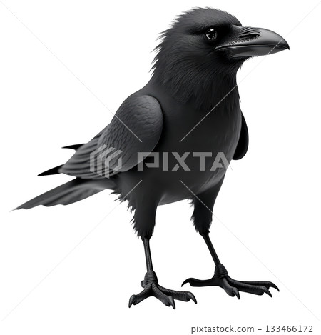 Mysterious black crow, dark bird raven animal looking watchful and intelligent on plain transparency background Mysterious black crow, dark bird raven animal looking watchful and intelligent on plain transparency background 133466172