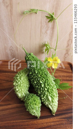 陽台花園裡種植的苦瓜 133466293