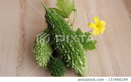 Bitter melon grown in a balcony garden Bitter melon grown in a balcony garden 133466294