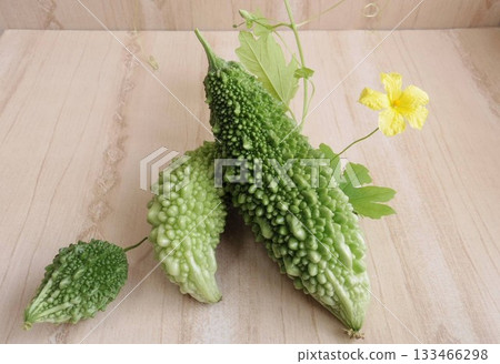 Bitter melon grown in a balcony garden 133466298