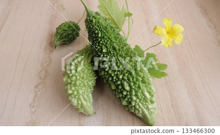 Bitter melon grown in a balcony garden 133466300