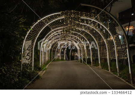 Strings of tiny star lights hang across curved frames in a bright display, and the glowing ornaments form a striking pattern over the walkway. 133466412