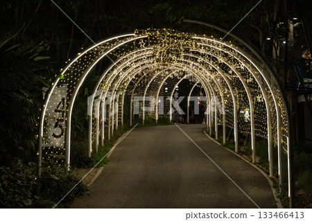 Strings of tiny star lights hang across curved frames in a bright display, and the glowing ornaments form a striking pattern over the walkway. Strings of tiny star lights hang across curved frames in a bright display, and the glowing ornaments form a striking pattern over the walkway. 133466413