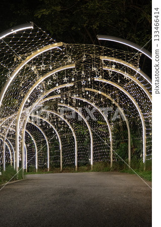 A lit tunnel forms a welcoming route for visitors during nighttime, with rows of warm lights outlining the curved path through the garden. 133466414