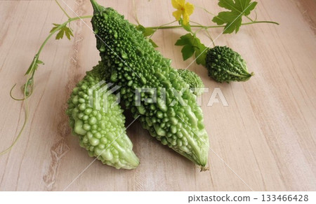 Bitter melon grown in a balcony garden 133466428