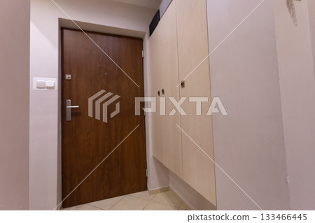 Explore a Modern Hallway with Stylish and Functional Storage Solutions for your home 133466445