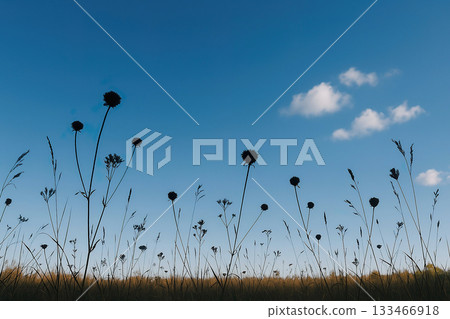 Quiet and relaxing autumn scenery 133466918