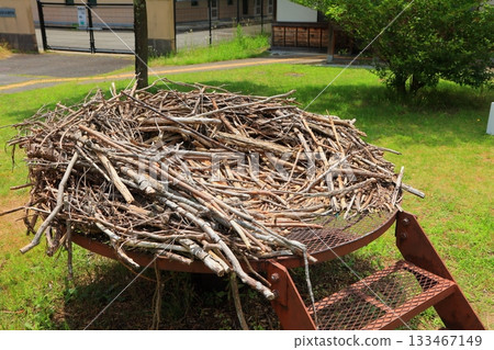 兵庫縣豐岡市鸛鳥故鄉公園的鸛巢複製品 133467149