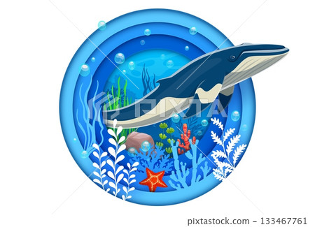 Paper cut underwater landscape with cartoon blue whale in seaweeds, vector banner. Ocean undersea or sea underwater life with cartoon whale, starfish and algae of coral reef in paper cut water frame 133467761