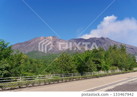 Sakurajima seen from the lava road, Kagoshima Prefecture 133467942