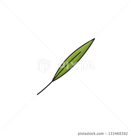 Simple botanical illustration featuring a single green leaf with delicate veins on a plain white 133468382
