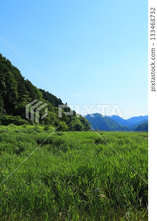 Hachigoro's Tojima Wetland, Toyooka City, Hyogo Prefecture 133468732
