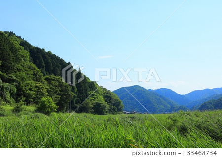 Hachigoro's Tojima Wetland, Toyooka City, Hyogo Prefecture 133468734