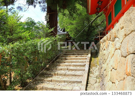奈良縣天理市石上神社 奈良縣天理市石上神社 133468873