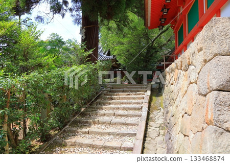 奈良縣天理市石上神社 133468874