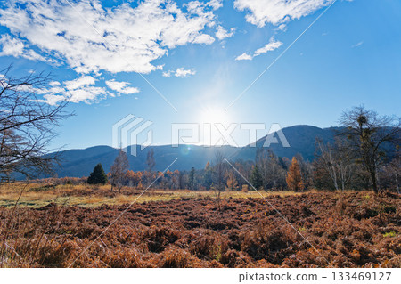 A clear blue sky and morning sun shining on the Norikura Plateau in late autumn 133469127