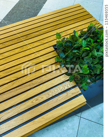 Wooden slats create a modern design element around a lush green plant in a bright indoor space during the day 133469355